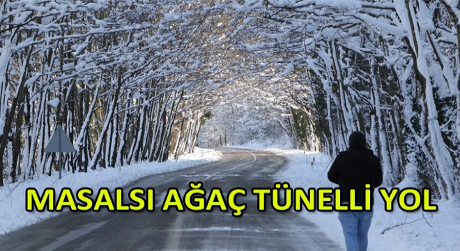 Ağaç Tünellerde Kar Güzelliği!