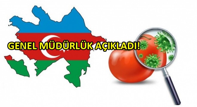 Azerbaycan Cumhuriyeti Gümrük Geçişleri Gıda Güvenliği!