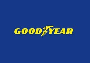Goodyear Fuelmax, İspanya’da 'Yılın Lastiği' seçildi!