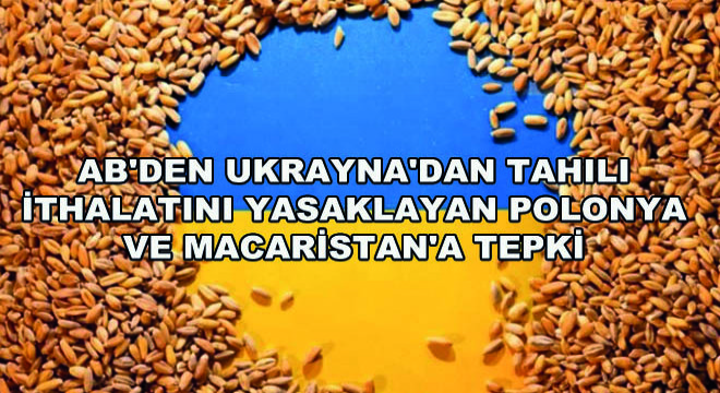 AB den Ukrayna dan Tahıl İthalatını Yasaklayan Polonya ve Macaristan a Tepki