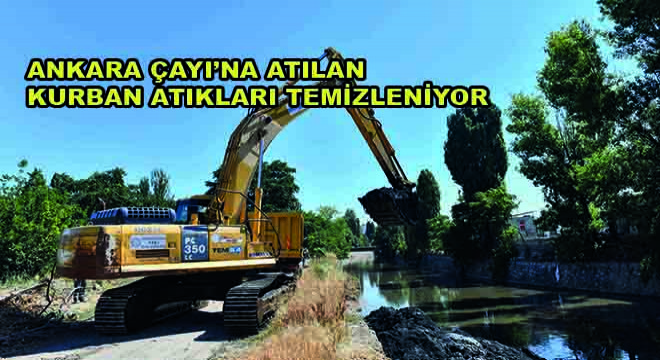 Ankara Çayı’na Atılan Kurban Atıkları Temizleniyor