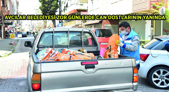 Avcılar Belediyesi Zor Günlerde Can Dostlarının Yanında