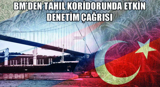 BM den Tahıl Koridorunda Etkin Denetim Çağrısı