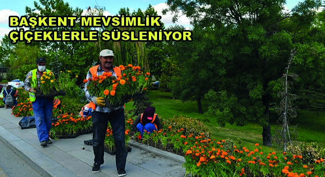 Başkent Mevsimlik Çiçeklerle Süsleniyor