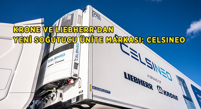 CELSINEO Geliyor