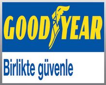 GOODYEAR, Amerika nın En Saygını