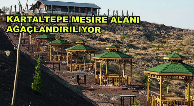 Kartaltepe Mesire Alanı Ağaçlandırılıyor