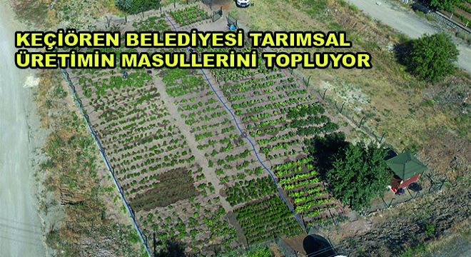 Keçiören Belediyesi Tarımsal Üretimin Masullerini Topluyor