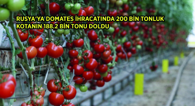 Rusya ya Domates İhracatında 200 Bin Tonluk Kotanın 188.2 Bin Tonu Doldu