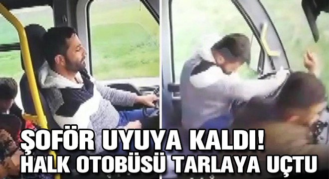 Şoför Uyudu! Halk Otobüsü Tarlaya Uçtu