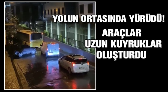 Yolun Ortasında Yürüdü! Araçlar Uzun Kuyruklar Oluşturdu