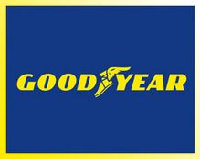 Goodyear ın Gözü Polonya da