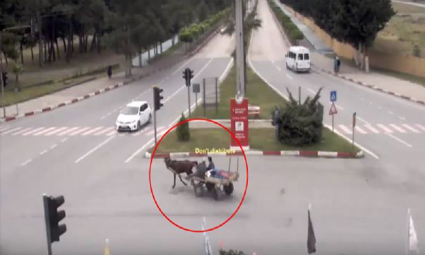 Birbirinden ilginç trafik kazaları